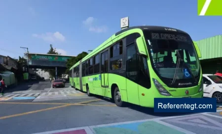 Horarios Especiales de Navidad para Transmetro y TuBus: ¡Planifica tu Viaje!