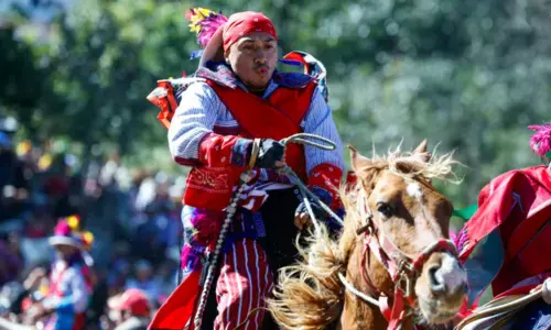 La carrera Juego de Gallos solicitud declaratoria Patrimonio intangible de la nación