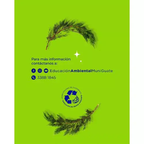 Así puedes Reciclar árboles de Navidad Guatemala