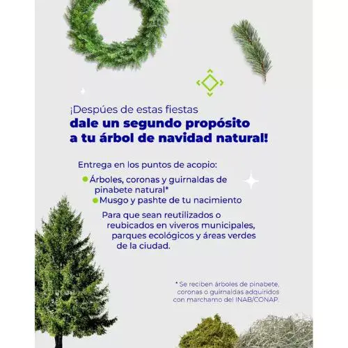 Así puedes Reciclar árboles de Navidad en Guatemala