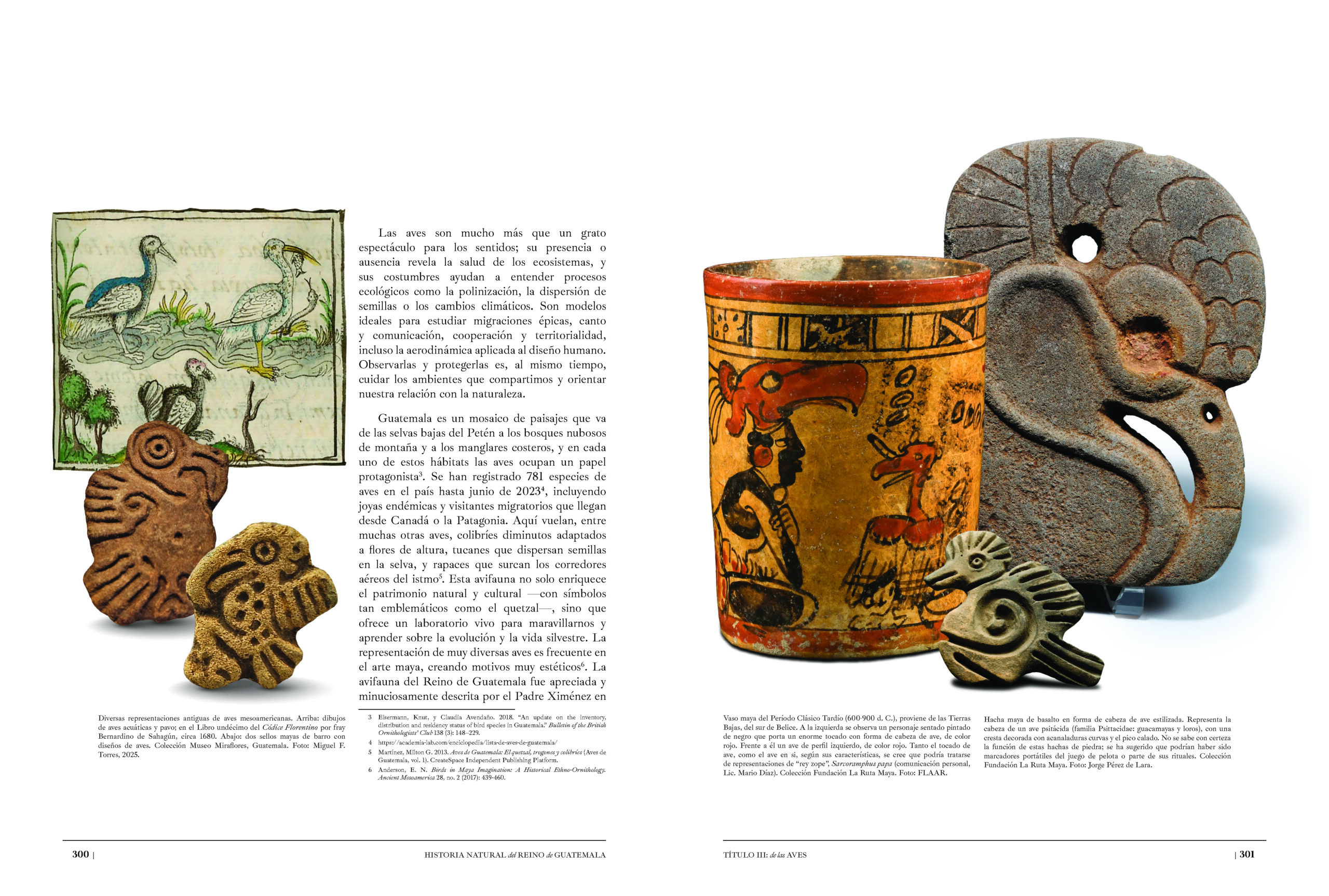 La fauna y flora que observó fray Francisco Ximénez hace 300 años es revisada por expertos y publicada en obra histórica