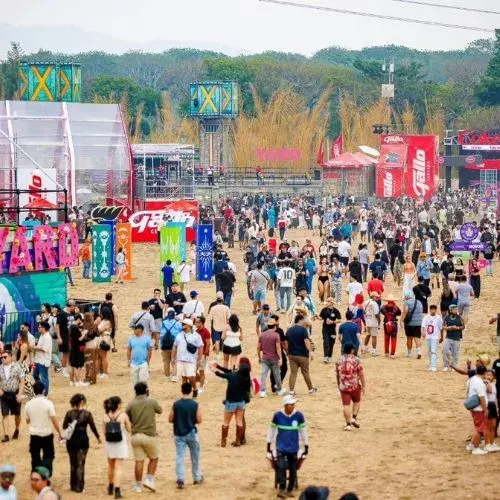 Line Up del EMF 2026