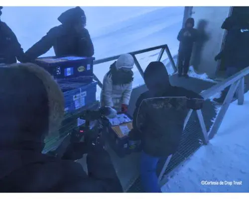 Guatemala en el Banco Mundial de Semillas de Svalbard