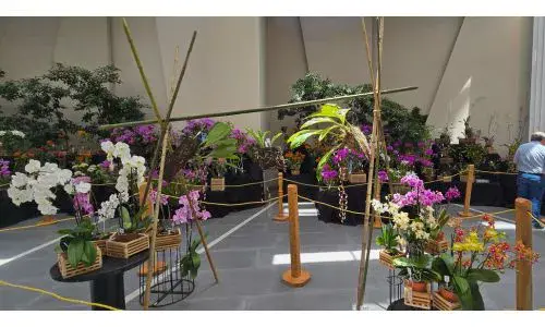 51 edición Exposición Nacional de Orquídeas Ciudad Guatemala