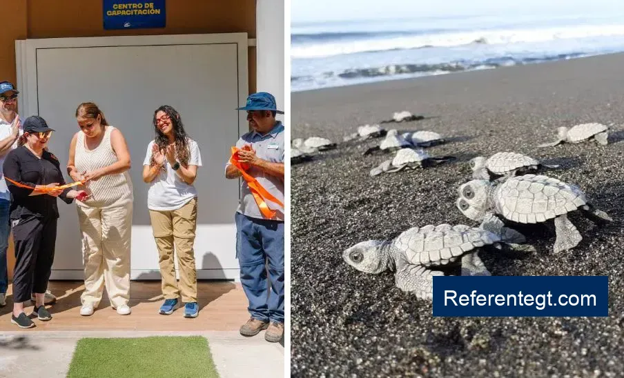 Nueva aula educativa en Guatemala: un paso crucial hacia la conservación ambiental sostenible