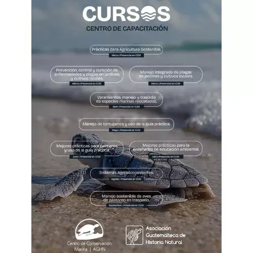 El aula educativa que fortalece la conservación del medio ambiente en Santa Rosa