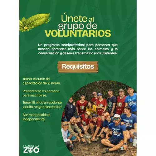 Inscripciones voluntariado en el Zoológico La Aurora 2026