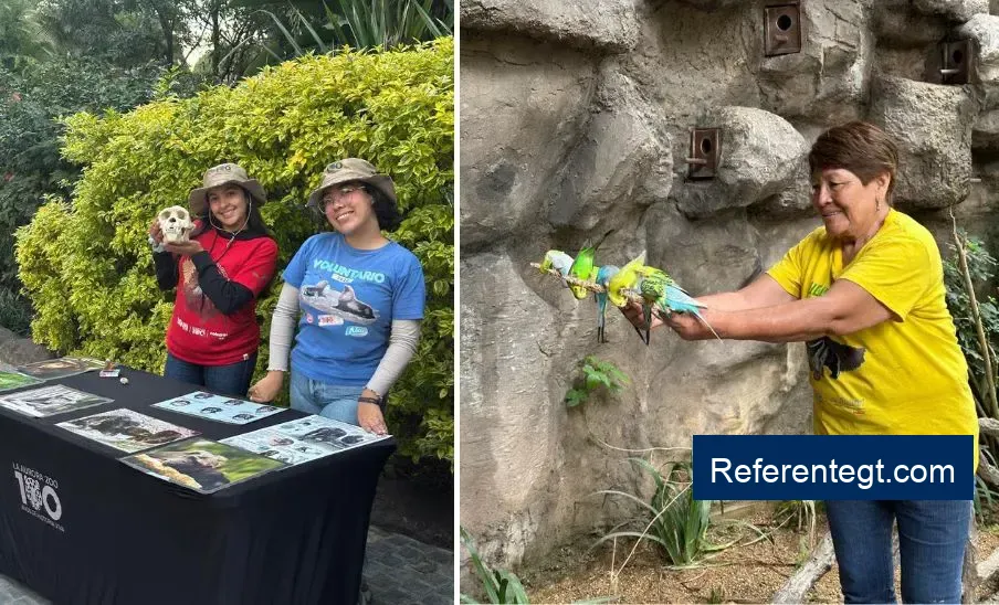 ¡Únete al Zoológico La Aurora! Oportunidad de voluntariado para el 2026.