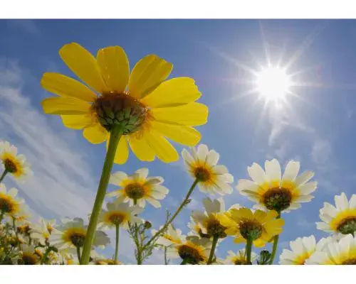 ¿Cómo estará el clima en Guatemala en abril 2026