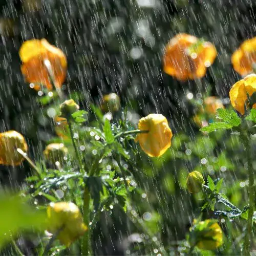 El Clima en Guatemala el 11 y 12 de abril 2026