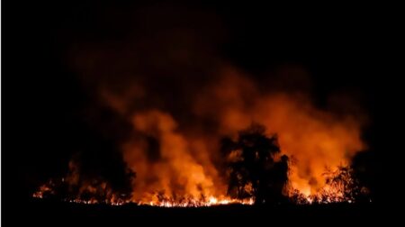 Incendios forestales: Descubre cómo incrementan el riesgo de cáncer y cuáles son los tipos afectados.