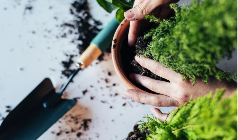 Descubre la asombrosa actividad que potencia tu cerebro de manera sencilla y efectiva.
