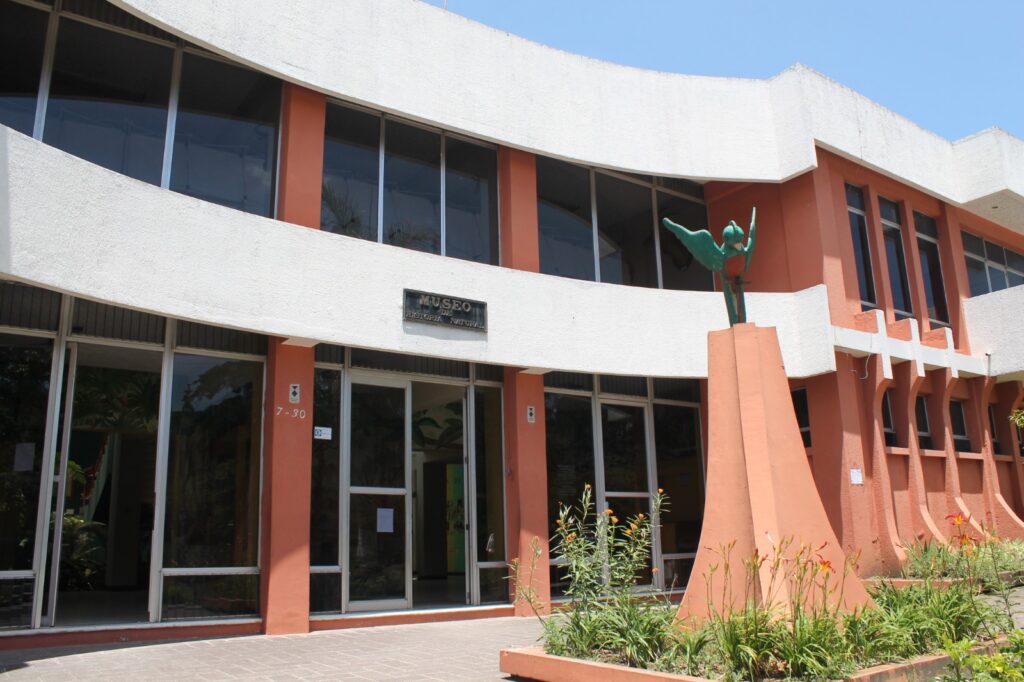 Descubre cómo los museos guatemaltecos del siglo XXI fusionan historia y modernidad