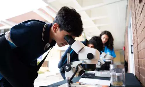 Movimiento Rescue Rangers formará líderes ambientales en centros educativos de Guatemala