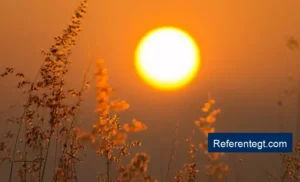 Descubre cómo el solsticio de verano 2026 transformará el día más largo en Guatemala