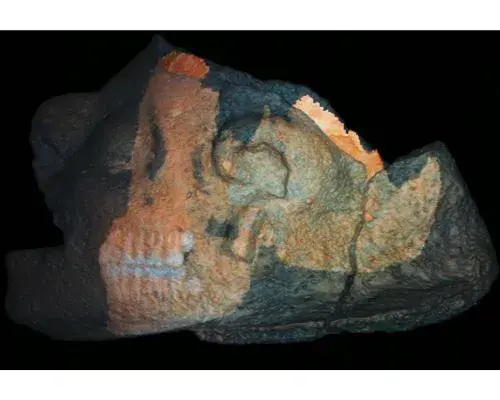Investigación cráneo cubierto de estudo revela nuevos conocimientos sobre rituales civilización maya