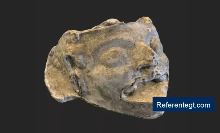 Descubren cráneo de 500 años que transforma nuestra comprensión de la civilización maya.