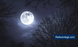 Descubre la Luna Llena del Ciervo 2026: Fechas y Significado en Guatemala