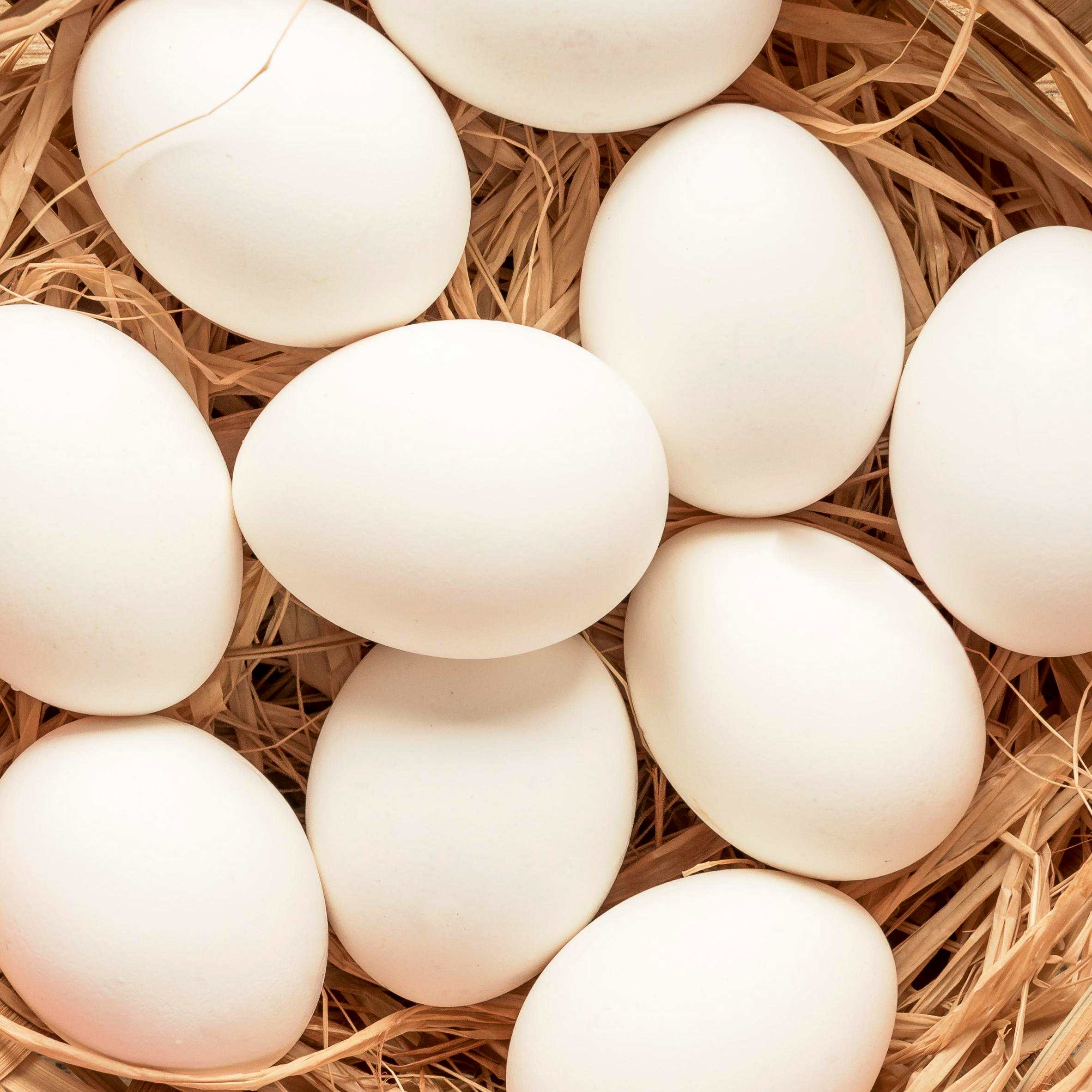 Los huevos son una buena fuente de proteína animal y son económicos. (Foto : Freepik)