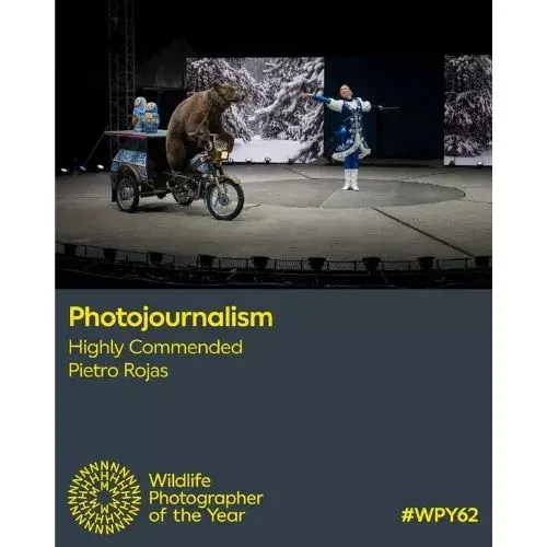 Fotógrafo Pietro Rojas ganador en Wildlife Photographer of the Year 2026