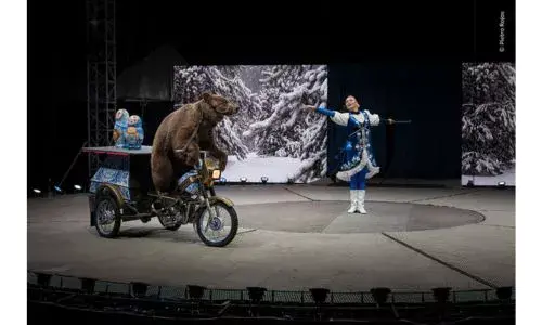 Fotógrafo guatemalteco ganador de premio del Museo de Historia Natural de Londres 2026