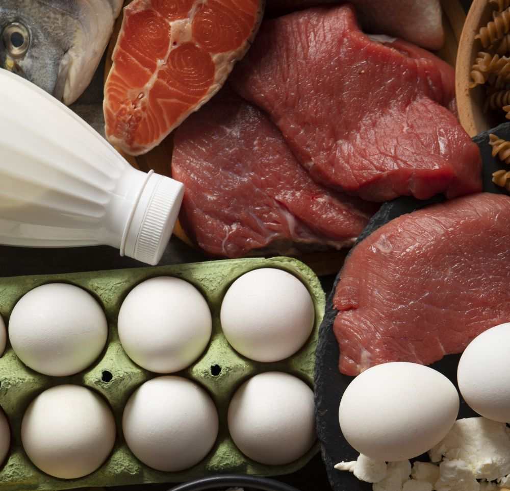 Descubre por qué aumentar tu ingesta de proteínas puede transformar tu salud