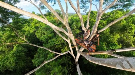 Impactante documental guatemalteco sobre la Selva Maya nominado a los Wildscreen Panda Awards 2026