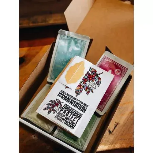 Café guatemalteco en cata global de The Fermentation Project