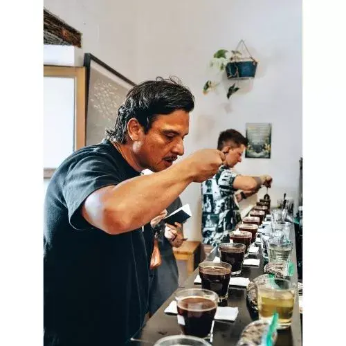 Café guatemalteco en la cata global de The Fermentation Project
