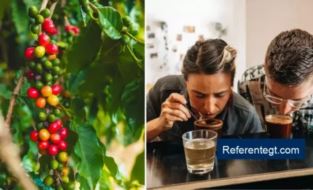 Café de Sacatepéquez destaca en cata internacional liderada por el experto James Hoffmann