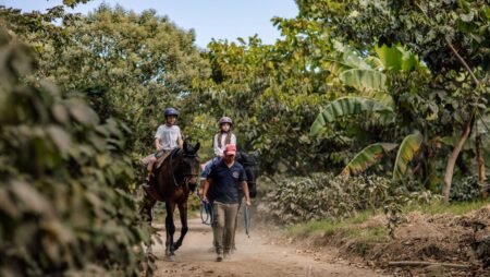 Descubre el Sabor de Guatemala: Tours Gastronómicos de Queso, Café y Aguacate en la Naturaleza