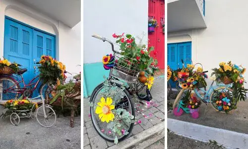 Así se vivió la primera edición del Festival de las Flores en Isla de Flores