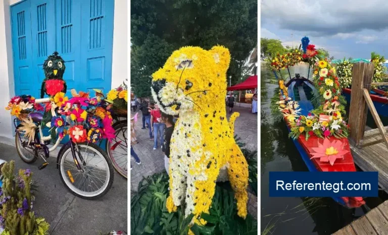 Descubre la Magia del Primer Festival de las Flores en Isla de Flores 2026