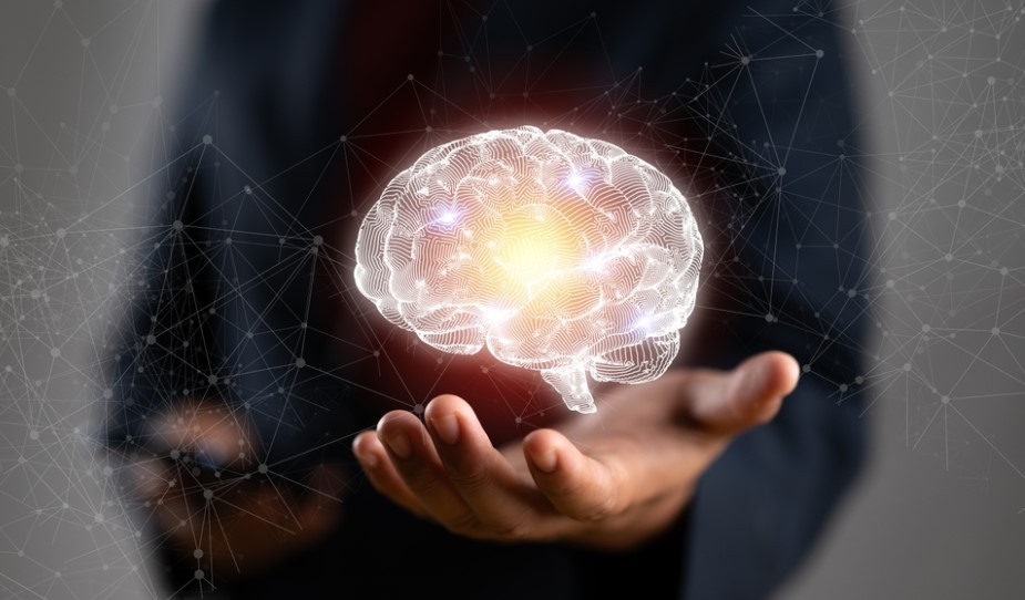 Descubre 3 Métodos Científicos para Limpiar tu Cerebro de Desechos Eficazmente
